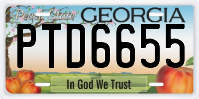 GA license plate PTD6655