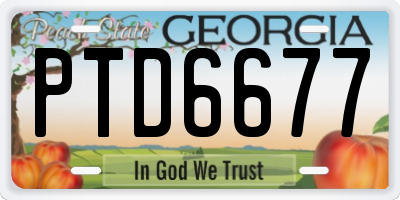 GA license plate PTD6677