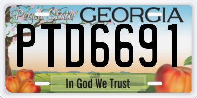 GA license plate PTD6691