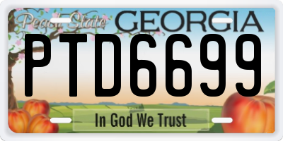 GA license plate PTD6699