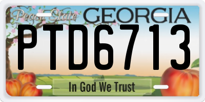 GA license plate PTD6713