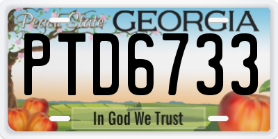 GA license plate PTD6733