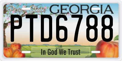 GA license plate PTD6788