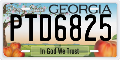 GA license plate PTD6825