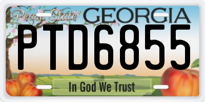 GA license plate PTD6855