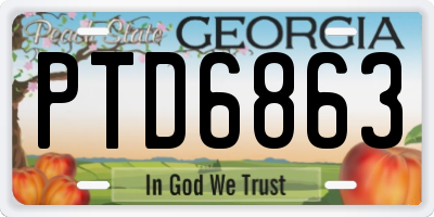 GA license plate PTD6863
