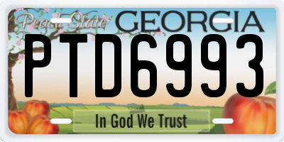 GA license plate PTD6993