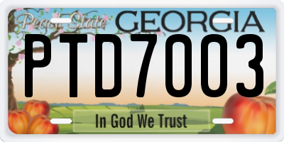 GA license plate PTD7003