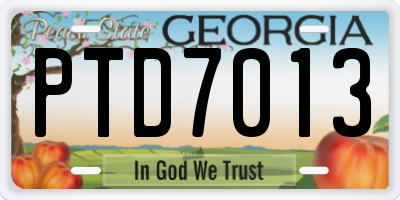 GA license plate PTD7013