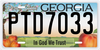 GA license plate PTD7033