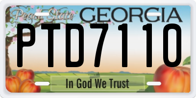 GA license plate PTD7110