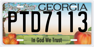GA license plate PTD7113