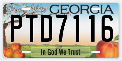 GA license plate PTD7116