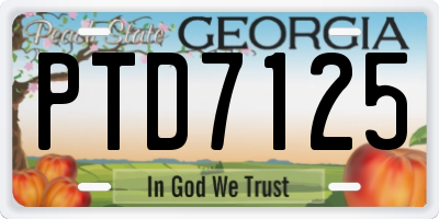 GA license plate PTD7125