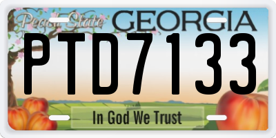 GA license plate PTD7133