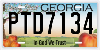 GA license plate PTD7134