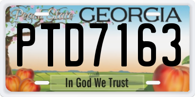 GA license plate PTD7163