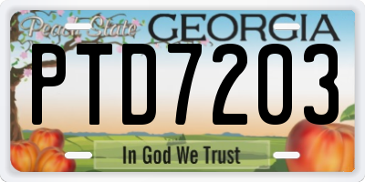 GA license plate PTD7203