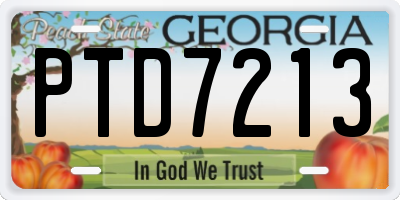 GA license plate PTD7213