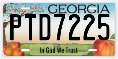 GA license plate PTD7225