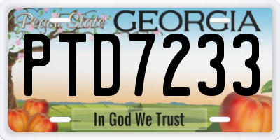 GA license plate PTD7233