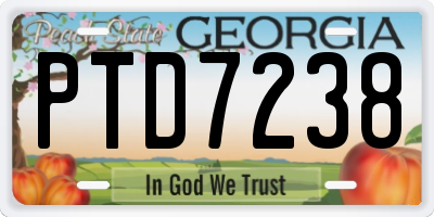 GA license plate PTD7238