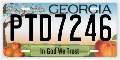 GA license plate PTD7246