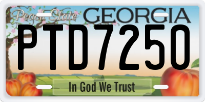 GA license plate PTD7250