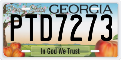 GA license plate PTD7273