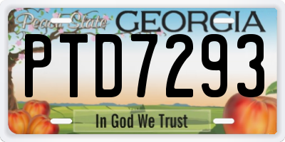 GA license plate PTD7293