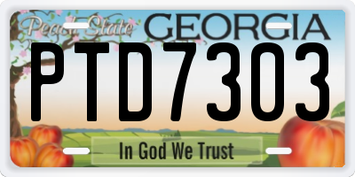 GA license plate PTD7303