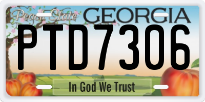 GA license plate PTD7306