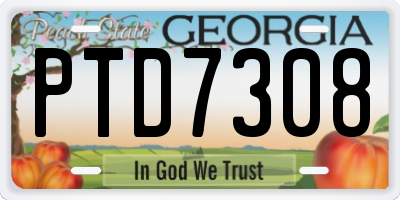 GA license plate PTD7308