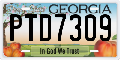 GA license plate PTD7309