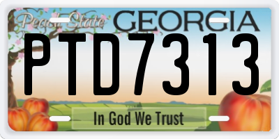 GA license plate PTD7313