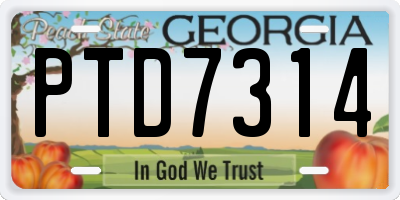GA license plate PTD7314