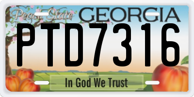 GA license plate PTD7316