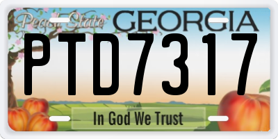 GA license plate PTD7317