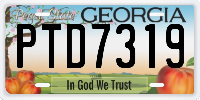 GA license plate PTD7319