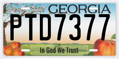 GA license plate PTD7377