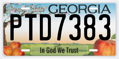 GA license plate PTD7383