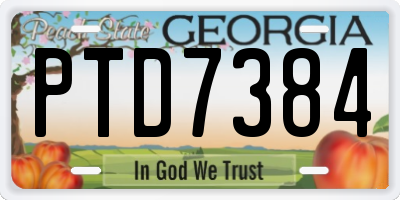 GA license plate PTD7384