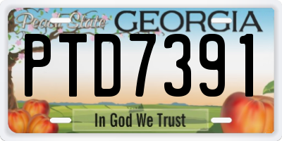 GA license plate PTD7391