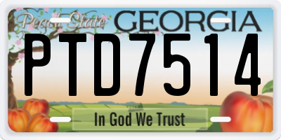 GA license plate PTD7514