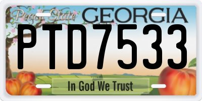 GA license plate PTD7533