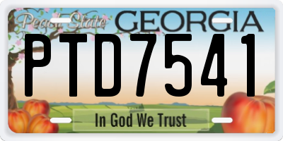 GA license plate PTD7541