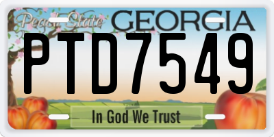 GA license plate PTD7549