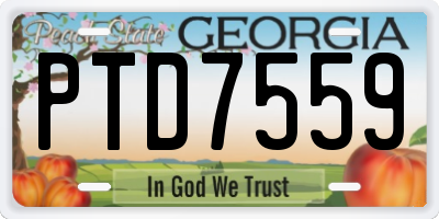 GA license plate PTD7559