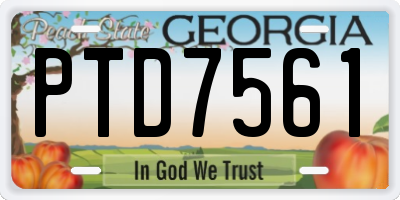 GA license plate PTD7561
