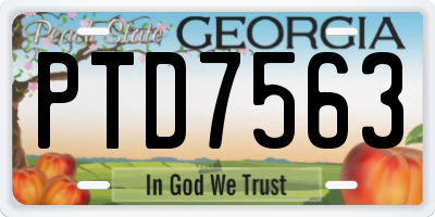 GA license plate PTD7563